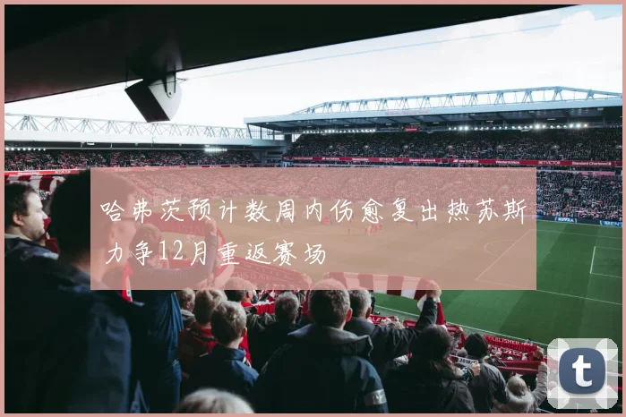 哈弗茨预计数周内伤愈复出热苏斯力争12月重返赛场